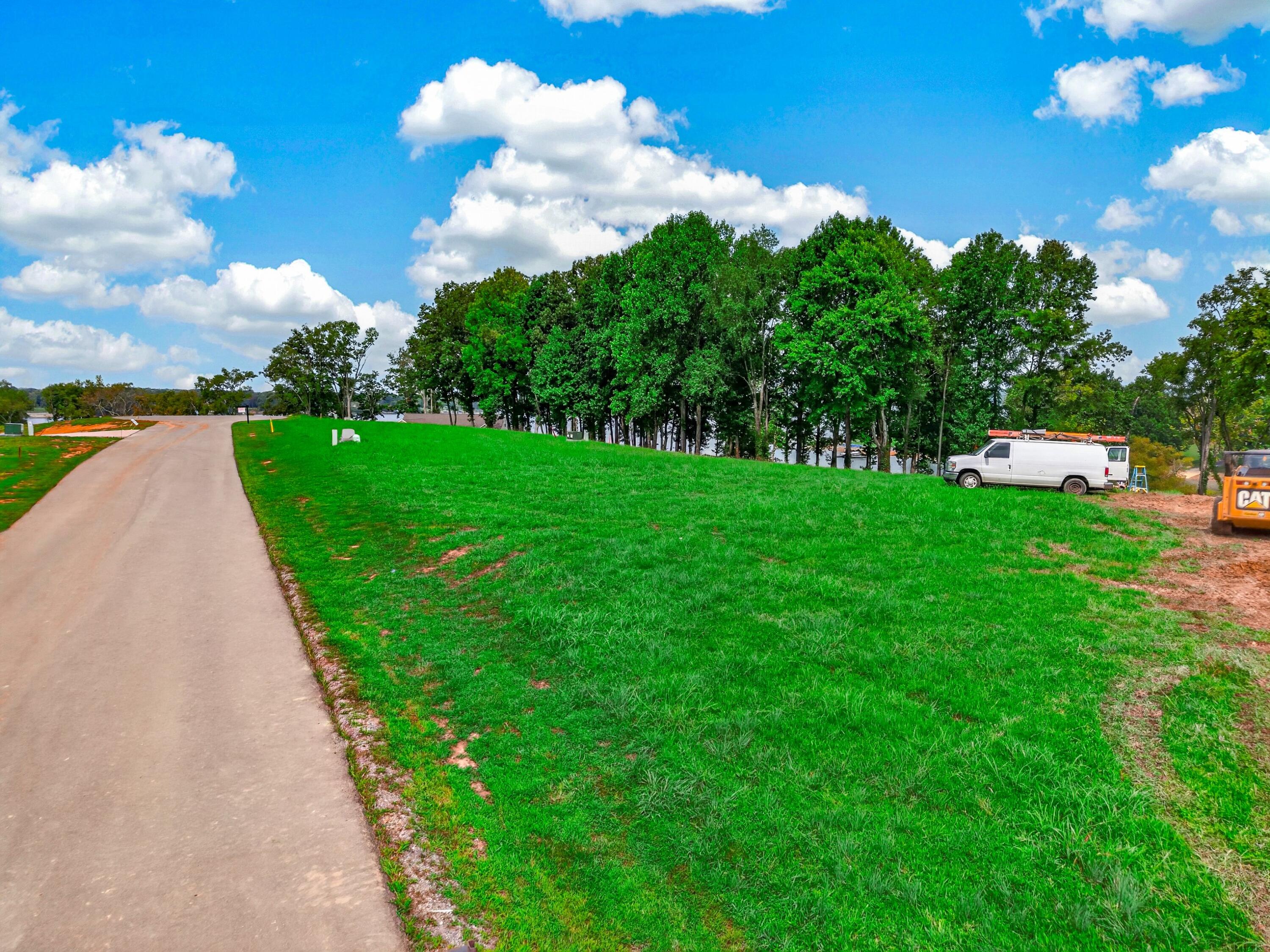 Land in White Pine 3
