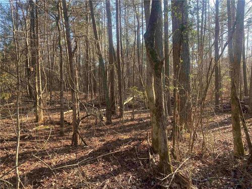 0 Corinth Five Points Rd, Buchanan, GA, 30113 | Card Image