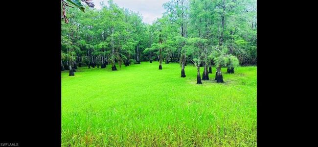 Eco-Preserve in Green!! | Image 23