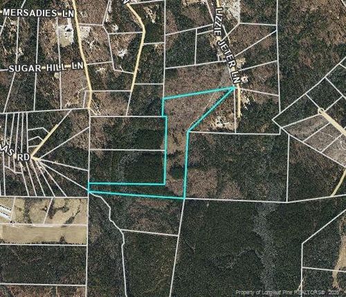 0 Lizzie Jeter Ln, Cameron, NC, 28326 | Card Image