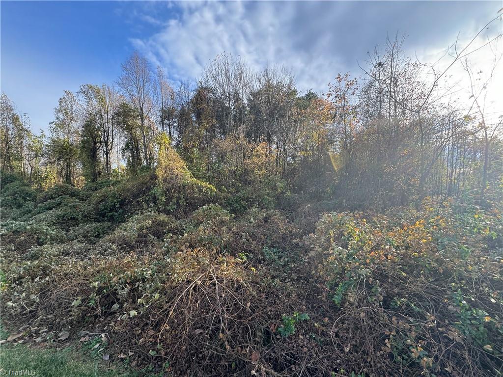 Land in Reidsville 3