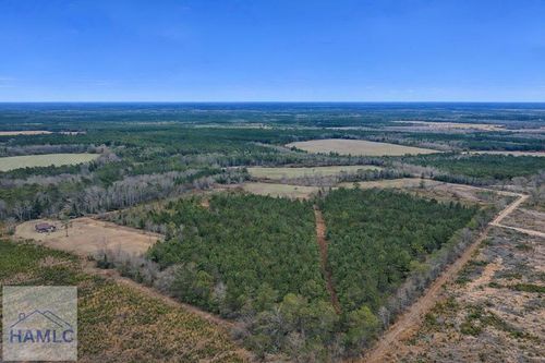 Tract 4 Reddish Road, Odum, GA, 31555 | Card Image