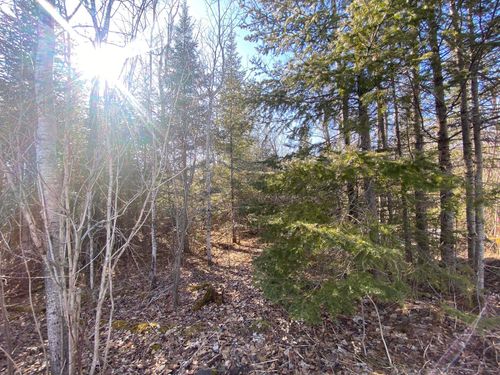 XXD Pine Peak Rd, Lutsen, MN, 55612 | Card Image