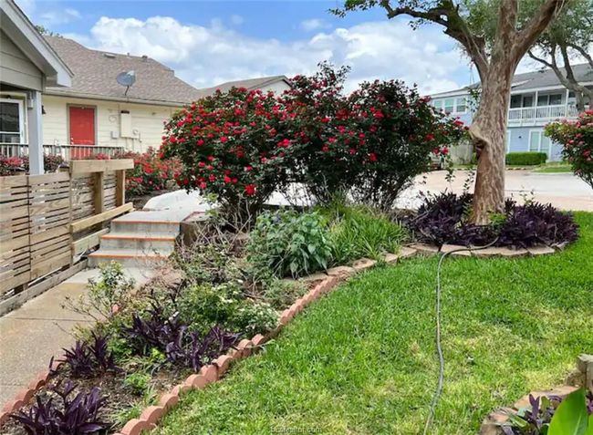 View of yard | Image 13