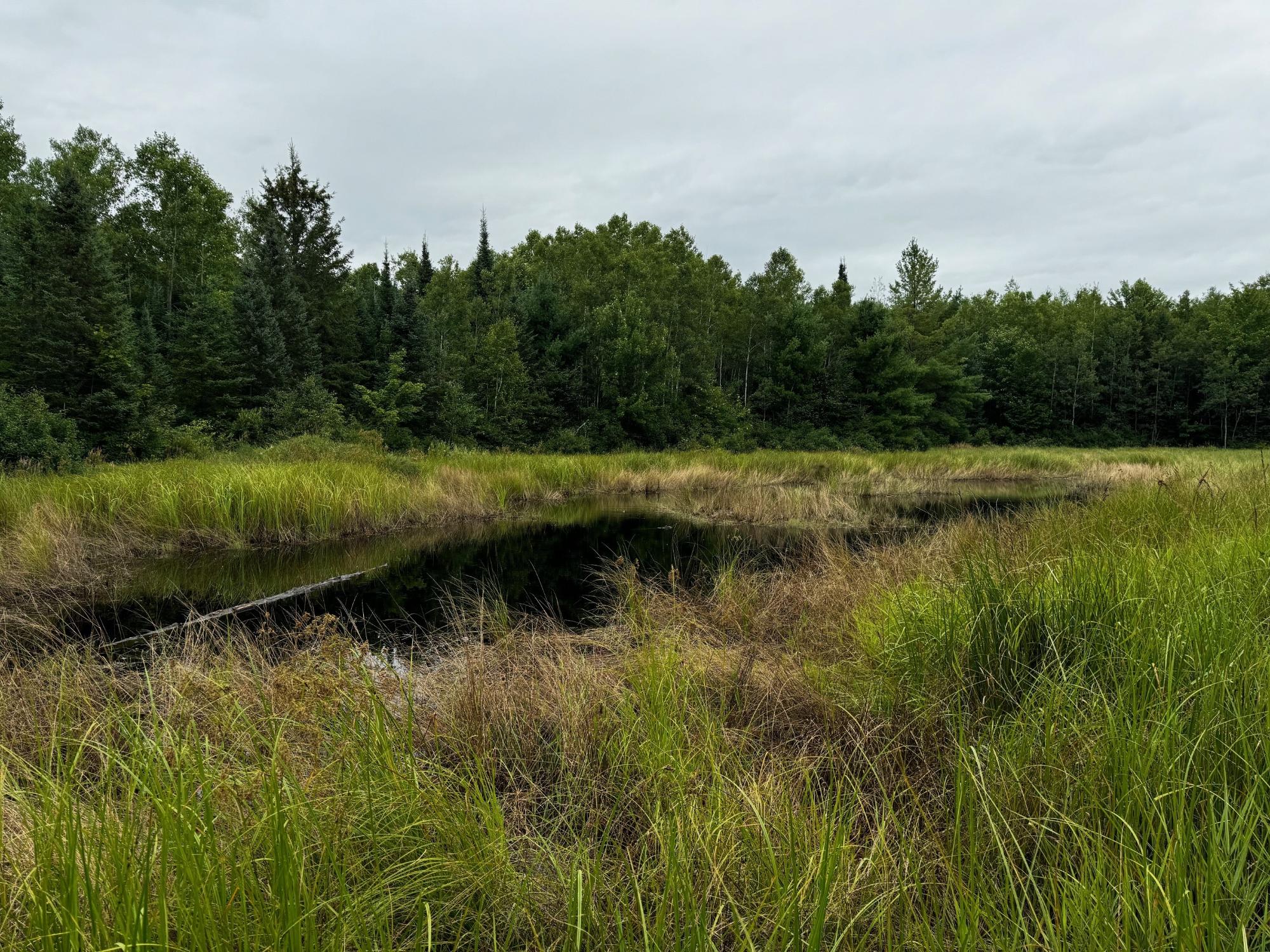 Land in Minocqua 5