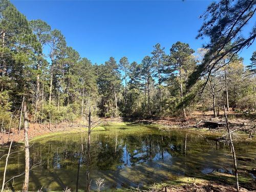 38AC Cr 263, Buffalo, TX, 75831 | Card Image