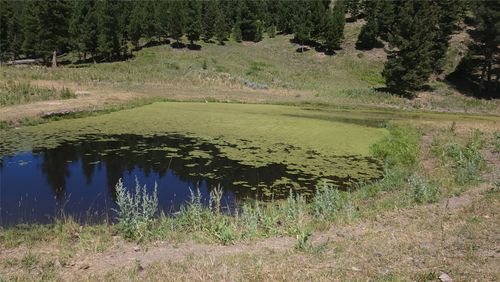 8 Garnet Range, Drummond, MT, 59832 | Card Image