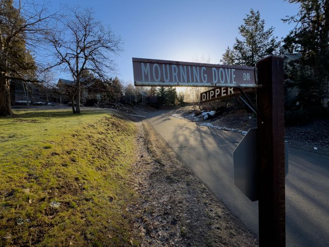 520 Mourning Dove Dr-09 | Image 13