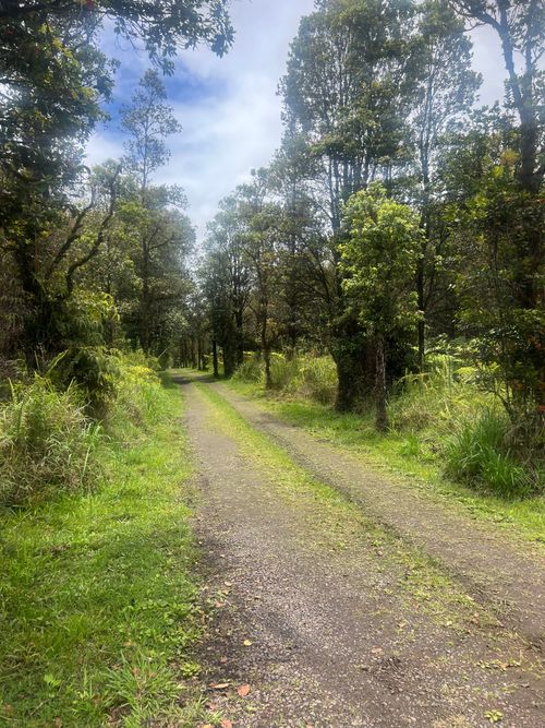 44 Volcano Hwy, VOLCANO, HI, 96785 | Card Image