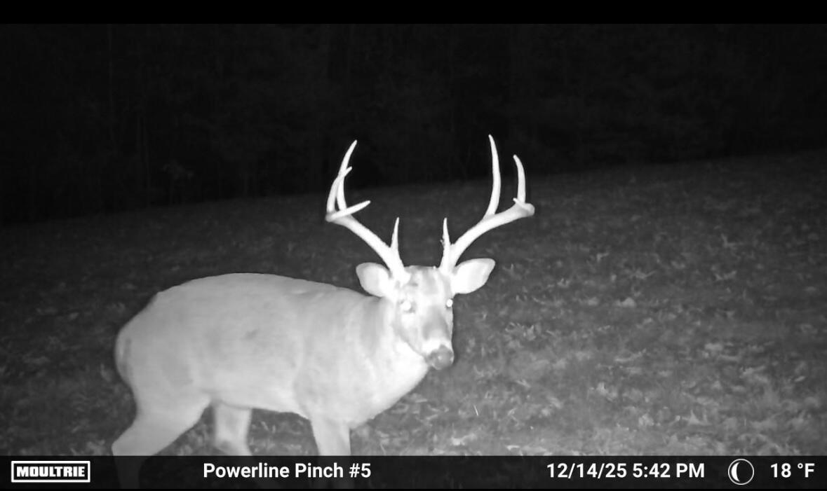Land in Highlandville 3