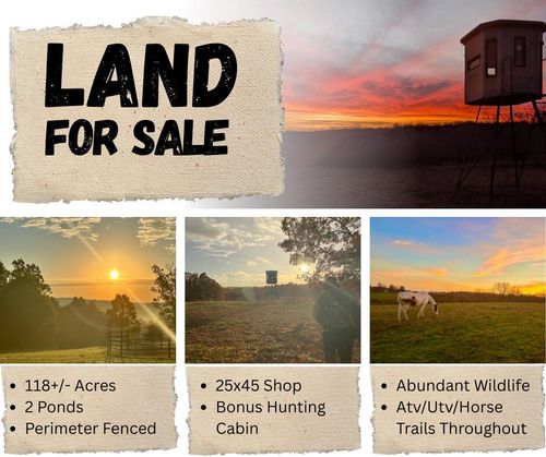 000 County Road 529, Ava, MO, 65608 | Card Image