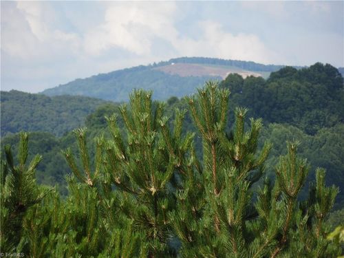 TBD Holly Hill Dr, Sparta, NC, 28675 | Card Image