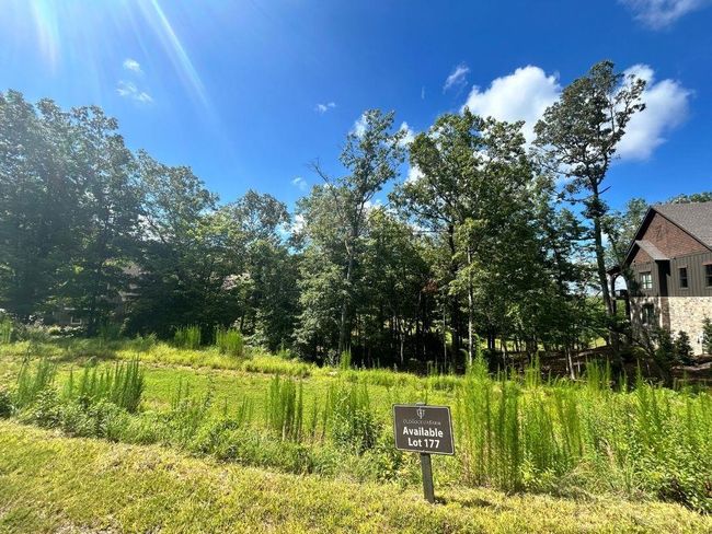LT177 Toccoa Ave, Home with 0 bedrooms, 0 bathrooms and null parking in Mineral Bluff GA | Image 4