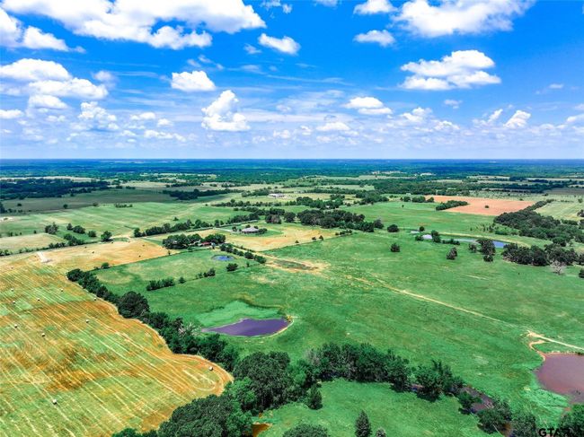 20 Acres County Road 3533, Home with 0 bedrooms, 0 bathrooms and null parking in Saltillo TX | Image 9