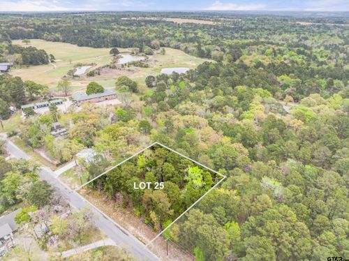 lot 25 Acr 319, Frankston, TX, 75763 | Card Image