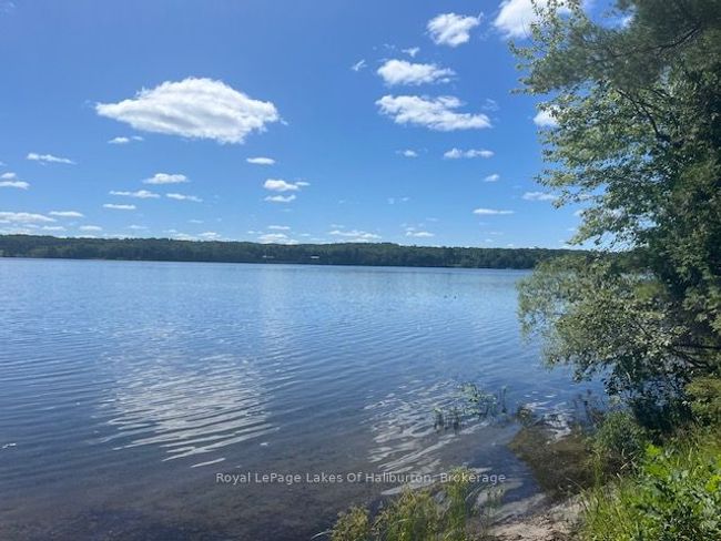 1293 Green Lake Rd, House other with 3 bedrooms, 2 bathrooms and 4 parking in Haliburton ON | Image 8