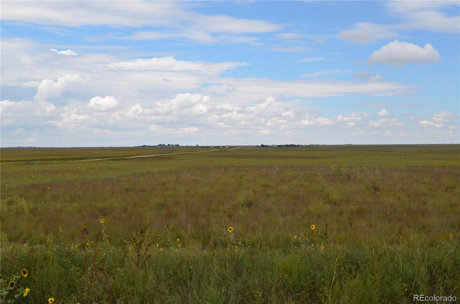 Land in Rush 5