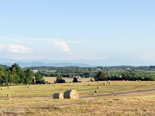 0 Lot 10 Summerset Drive, Talbott, TN, 37877 | Card Image