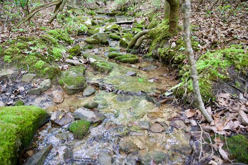 1.2AC Coyote Trail, Spencer, TN, 38585 | Card Image
