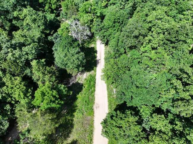 dji_fly_20250620_103700_0040_17504330756 | Image 8