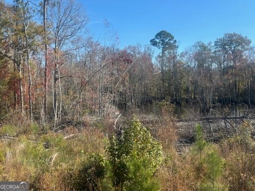 0 Jd Williams Rd, Cadwell, GA, 31009 | Card Image