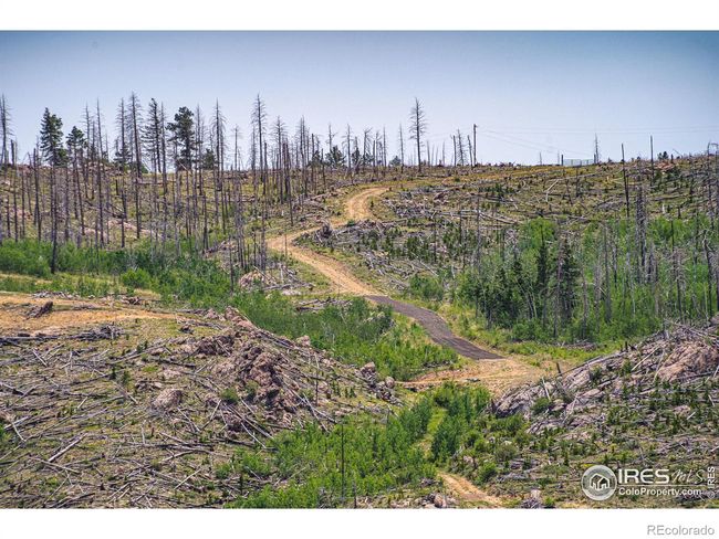 2384 Rist Creek Rd, Home with 0 bedrooms, 0 bathrooms and null parking in Bellvue CO | Image 30