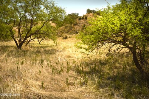 lot-13-206 Tanglehead Lane, Patagonia, AZ, 85624 | Card Image