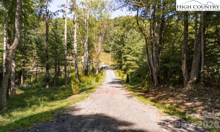 Land in Spruce Pine 2