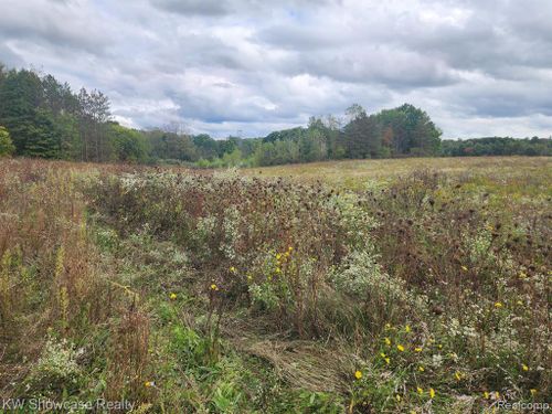 Lot C Lashbrook Vacant Land Road, Wales Twp, MI, 48027 | Card Image