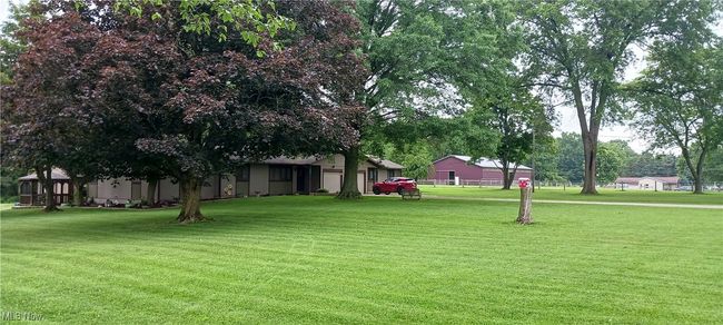 Surrounding community with a yard | Image 28