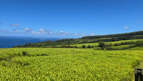 1-34-4330 Pali Nana Rd, Papaaloa, HI, 96780 | Card Image