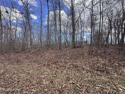 0 Tama Trce, Crossville, TN, 38572 | Card Image