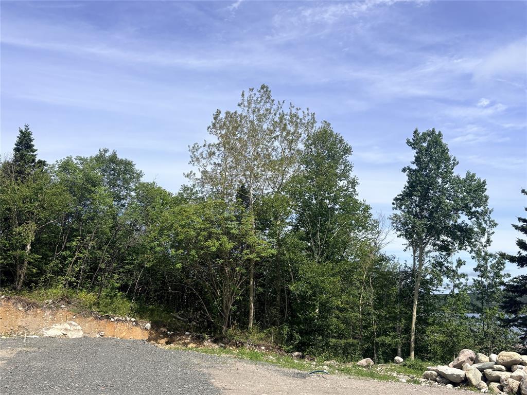 Land in Clarenville 2