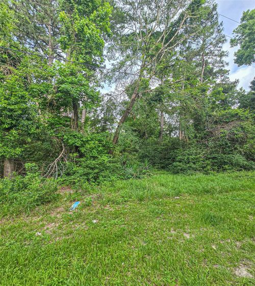 TBD Jaguar N, Onalaska, TX, 77360 | Card Image