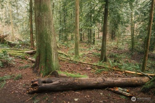 0 Lopez St, Bellingham, WA, 98229 | Card Image