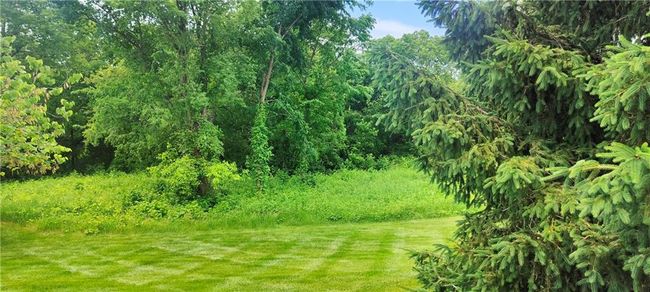 Greenspace at the subdivision pool | Image 19