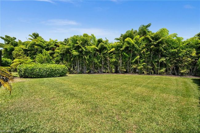 10030 Florence Cir, House other with 4 bedrooms, 4 bathrooms and 2 parking in NAPLES FL | Image 38