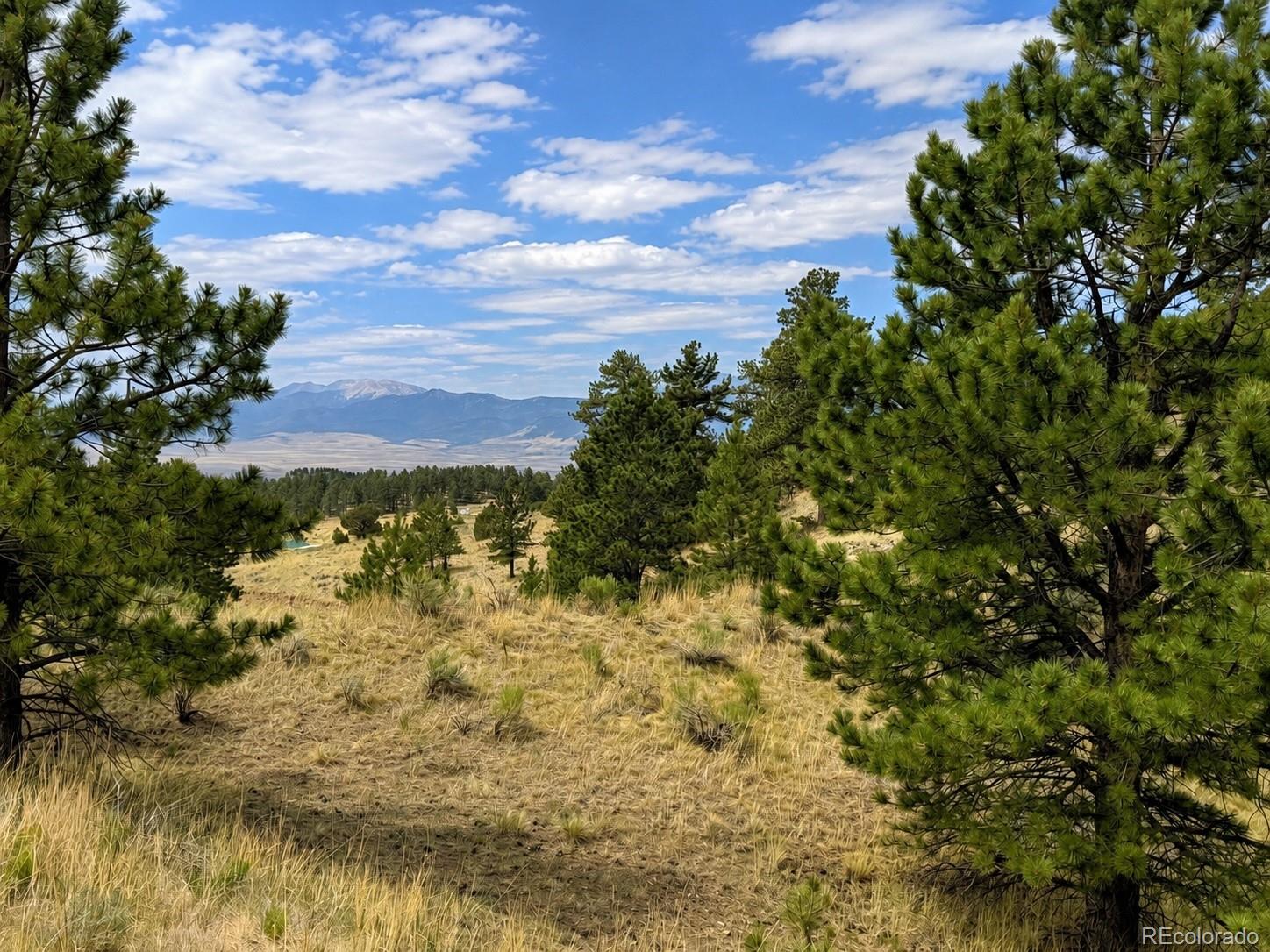 Land in Westcliffe 5