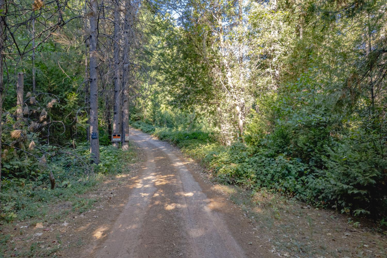 Land in Camptonville 4