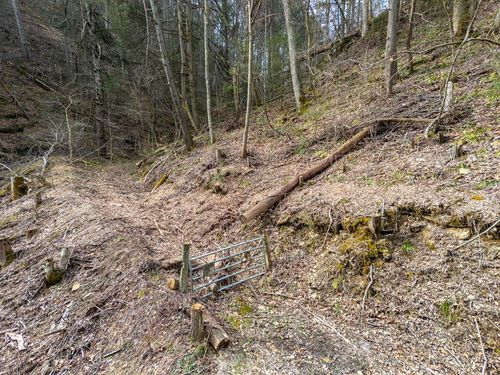 TBD Cove Creek Rd, Bristol, VA, 24202 | Card Image