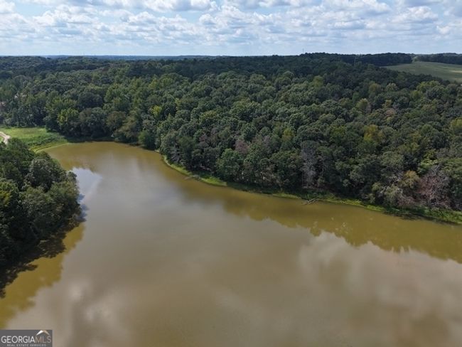 TRACT-11 - 0 Sanford Dr, Home with 0 bedrooms, 0 bathrooms and null parking in Nicholson GA | Image 12