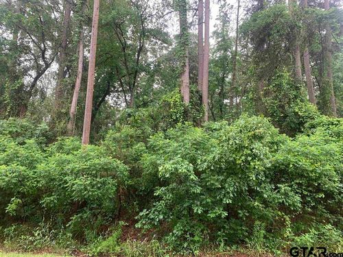 TBD Canadian Dr, Scroggins, TX, 75480 | Card Image