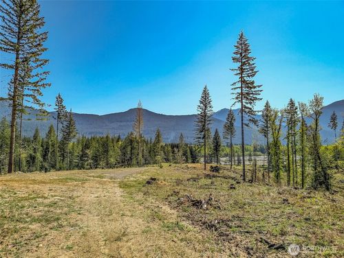 lot-a2-0 Craig Rd, Packwood, WA, 98361 | Card Image