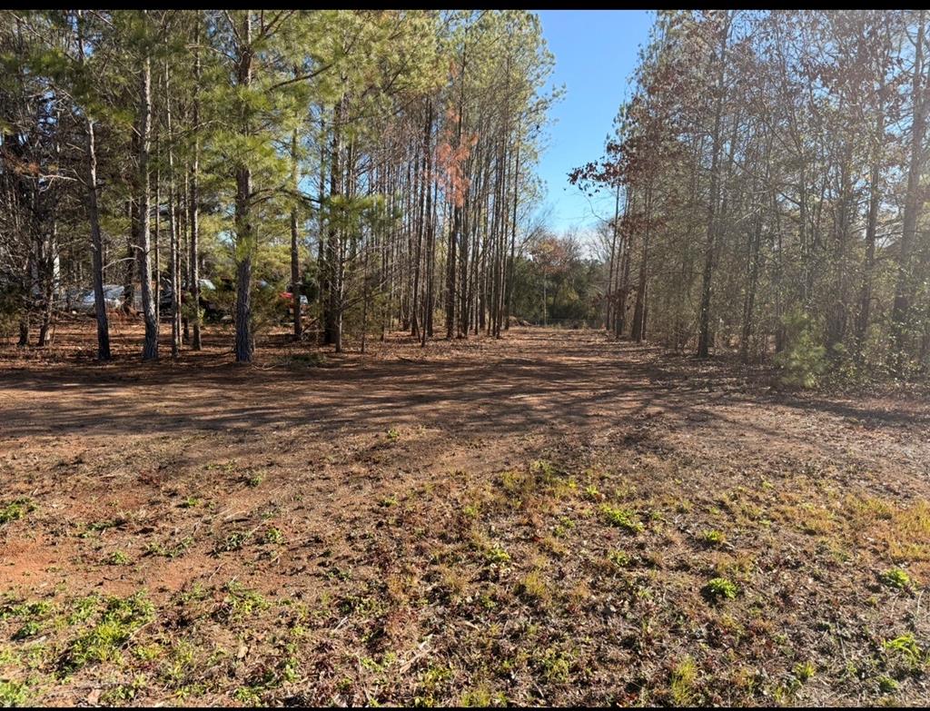 Land in Macon