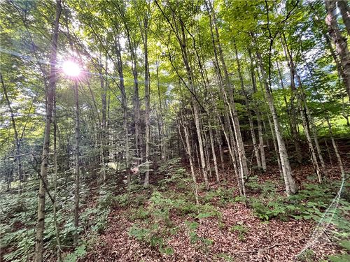 Lot 4 Greenbush Road, Erin, NY, 14838 | Card Image