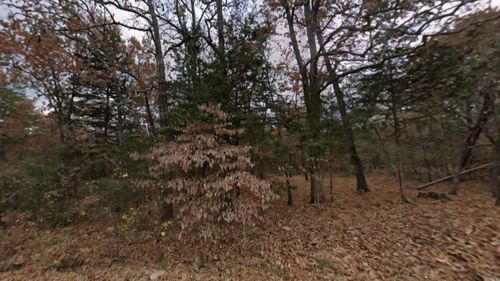 Lot 14 E Fawn St, Lead Hill, AR, 72644 | Card Image