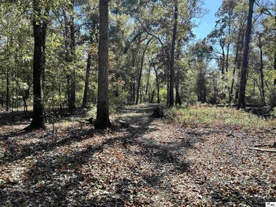 000 School Board Road, Home with 0 bedrooms, 0 bathrooms and null parking in Marion LA | Image 1