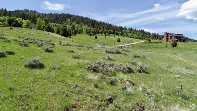 View of yard featuring a rural view and a forest view | Image 15