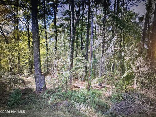 Near 88 Oak Rd, Lake Waccamaw, NC, 28450-9414 | Card Image