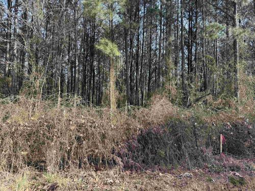 TBD Polk Road 13, Wickes, AR, 71973 | Card Image